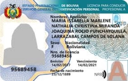 Emisión de Licencia de Conducir para Extranjeros